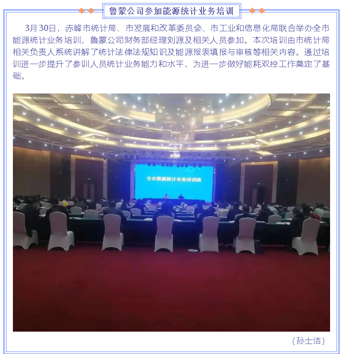 魯蒙公司參加能源統計業務培訓63