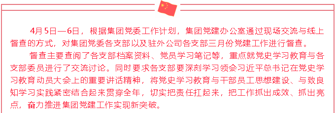 集團(tuán)黨建辦公室開(kāi)展三月份黨建工作督查38