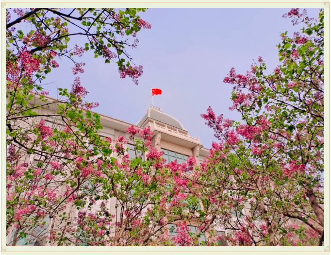 【重山影像】最美重山四月天54