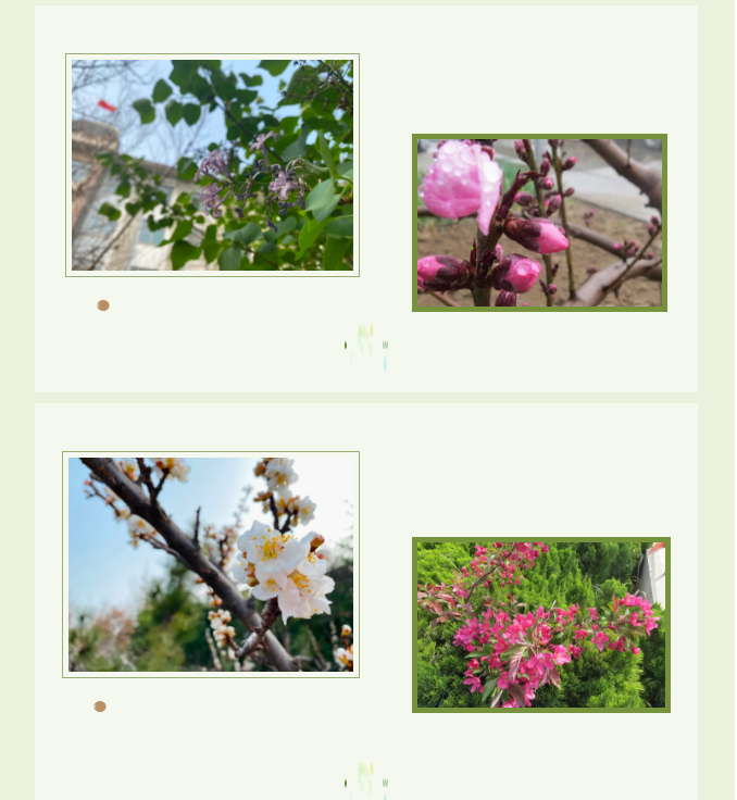 【重山影像】最美重山四月天54