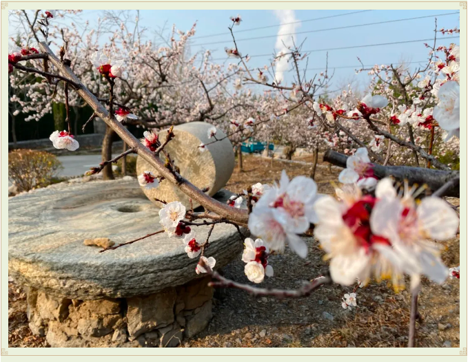 【重山影像】最美重山四月天54