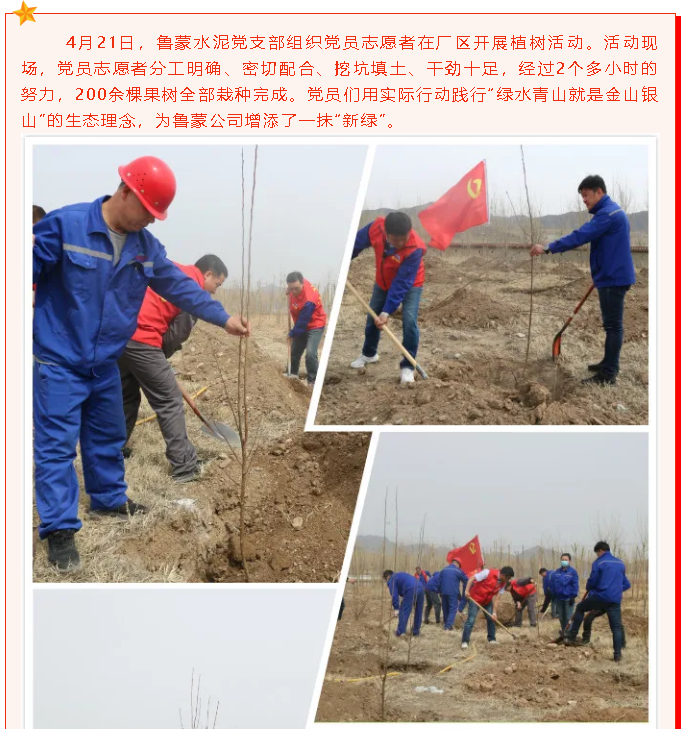 魯蒙水泥黨支部開展植樹活動42