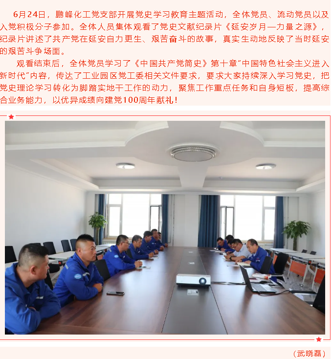 鵬峰化工黨支部開展黨史學習教育主題活動99