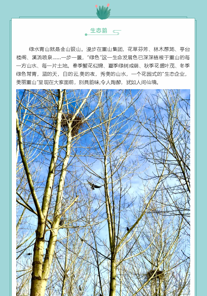 【鏡頭里的重山】邀您共賞重山之美！77