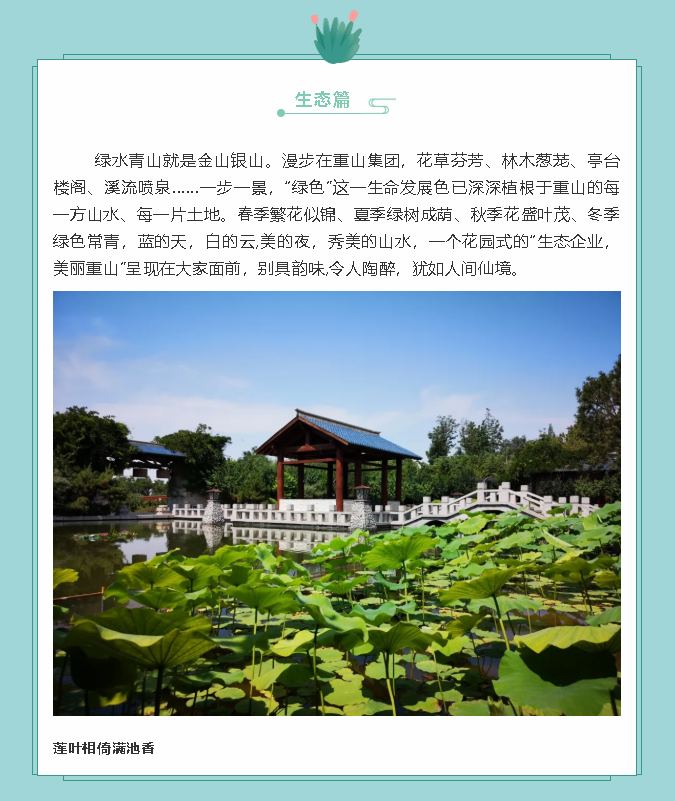 【鏡頭里的重山】邀您共賞重山之美！70