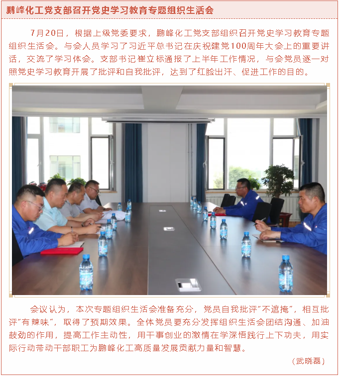 鵬峰化工黨支部召開黨史學習教育專題組織生活會76