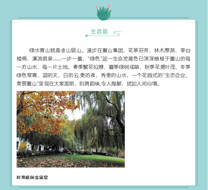 【鏡頭里的重山】邀您共賞重山之美！89