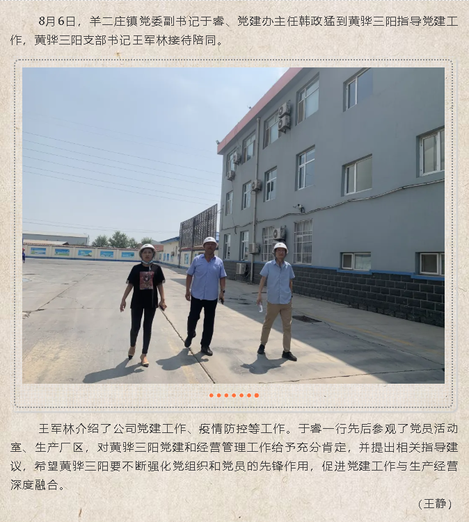 羊二莊鎮(zhèn)領(lǐng)導(dǎo)到黃驊三陽指導(dǎo)黨建工作72