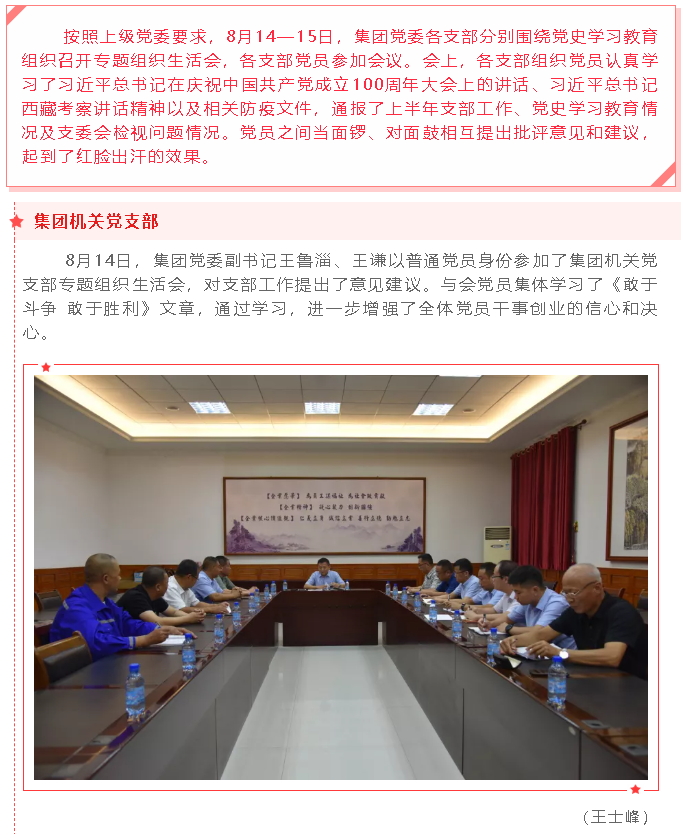 集團(tuán)黨委各支部開展黨史學(xué)習(xí)教育專題組織生活會(huì)47