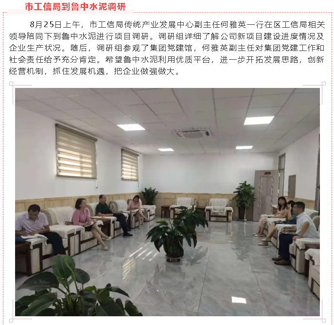 市工信局到魯中水泥調(diào)研93