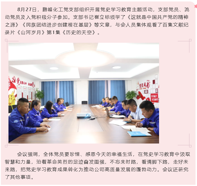 鵬峰化工黨支部開展黨史學(xué)習(xí)教育主題活動(dòng)0