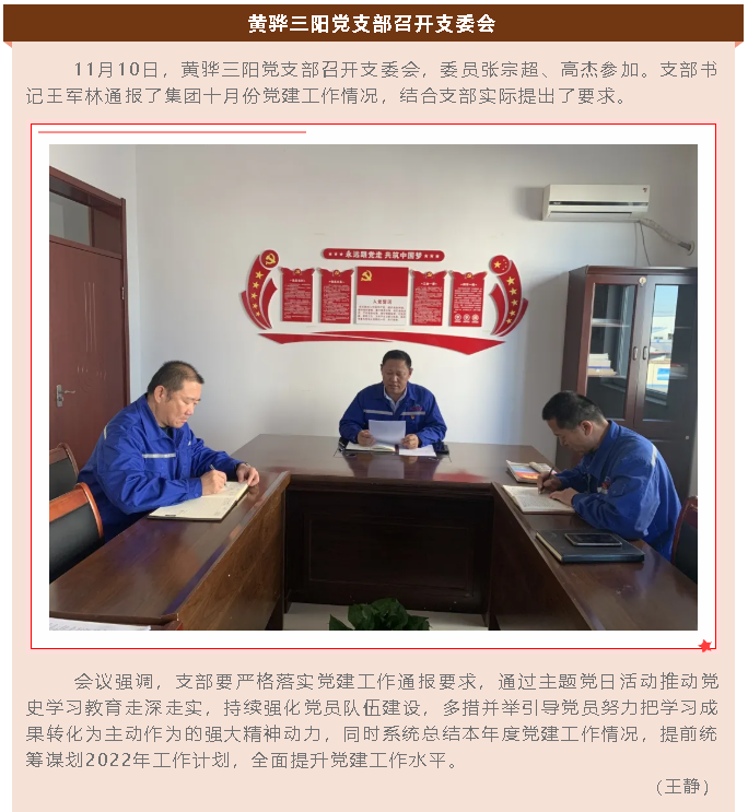 黃驊三陽黨支部召開支委會(huì)55