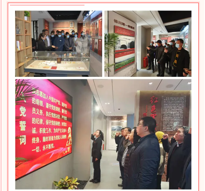 踐行初心使命   永葆奮斗姿態(tài)  ---羅村鎮(zhèn)各村居黨支部到集團開展開放式組織生活61