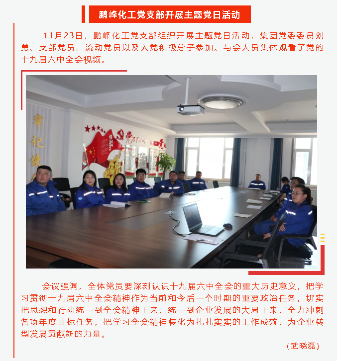 鵬峰化工黨支部開展主題黨日活動(dòng)16