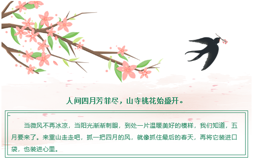 【重山影像】重山芳菲初夏近，萬物逢時(shí)皆美好