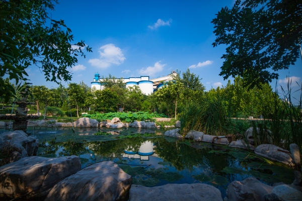 積極維護防汛救災網絡秩序倡議書